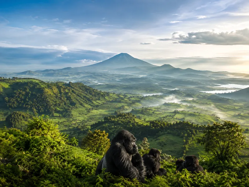 Rwanda wildlife and mountain travel experience